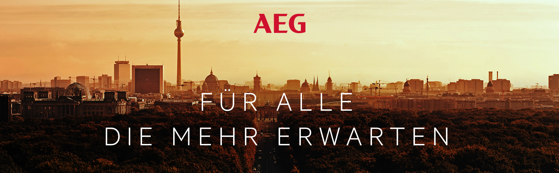 AEG Titelbild mit Berliner Skyline.