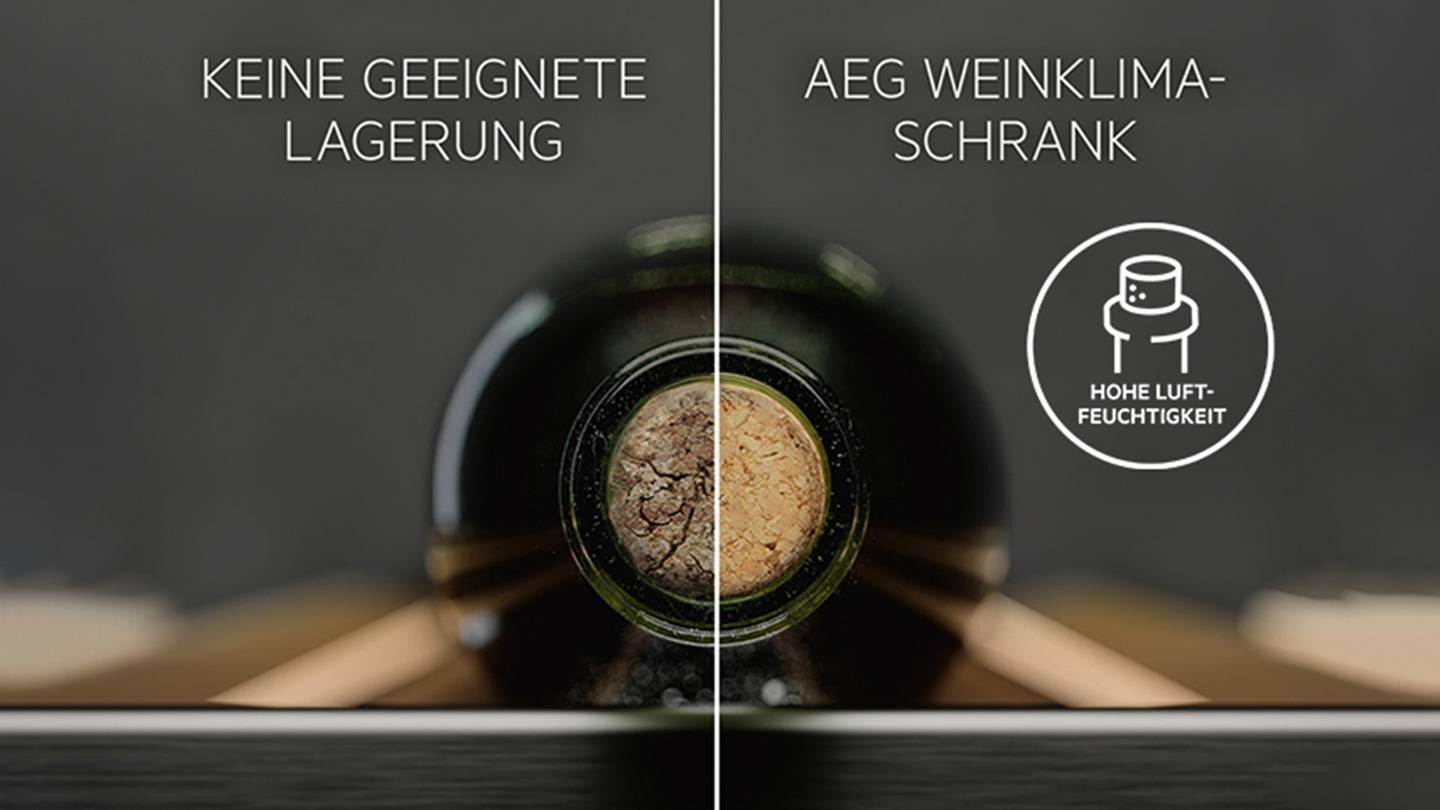 Weinflasche, an der die richtige Lagerung bei passender Luftfeuchtigkeit gezeigt wird.